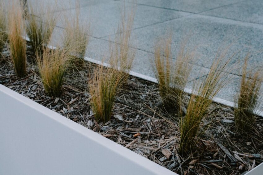 Elegante hoge smalle plantenbakken met groene planten op een modern terras.